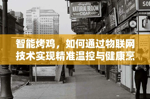 智能烤鸡，如何通过物联网技术实现精准温控与健康烹饪？