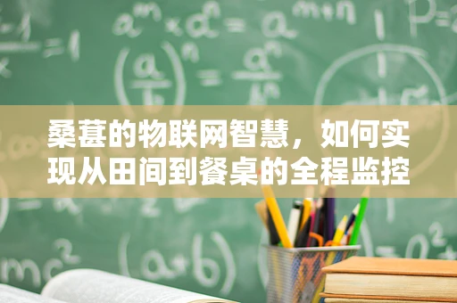 桑葚的物联网智慧，如何实现从田间到餐桌的全程监控？