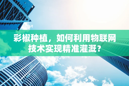 彩椒种植，如何利用物联网技术实现精准灌溉？