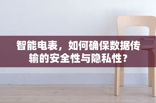 智能电表，如何确保数据传输的安全性与隐私性？