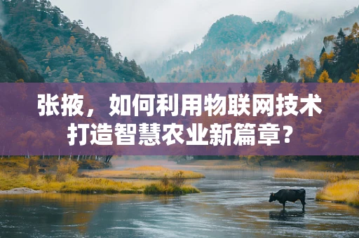 张掖，如何利用物联网技术打造智慧农业新篇章？