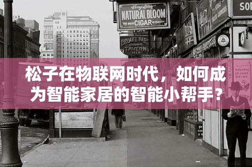 松子在物联网时代，如何成为智能家居的智能小帮手？