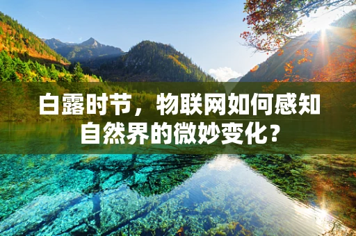 白露时节，物联网如何感知自然界的微妙变化？