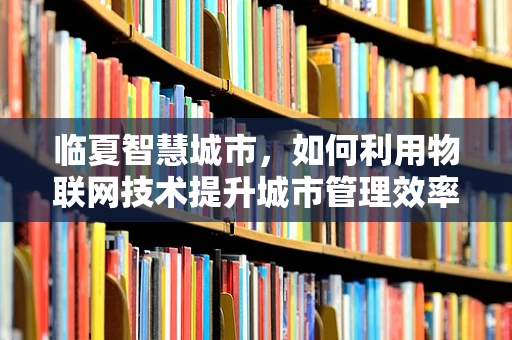 临夏智慧城市，如何利用物联网技术提升城市管理效率？