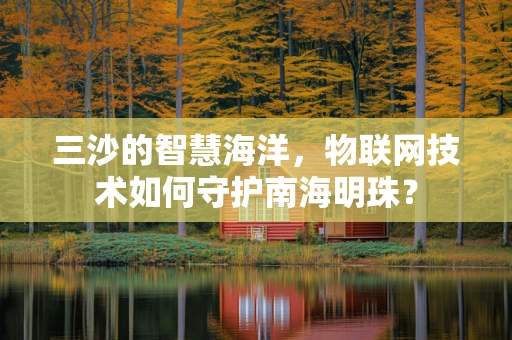 三沙的智慧海洋，物联网技术如何守护南海明珠？