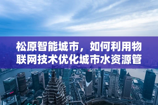 松原智能城市，如何利用物联网技术优化城市水资源管理？