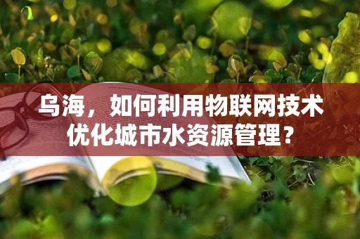 乌海，如何利用物联网技术优化城市水资源管理？