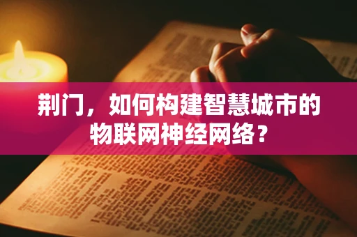 荆门，如何构建智慧城市的物联网神经网络？