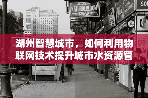 湖州智慧城市，如何利用物联网技术提升城市水资源管理？