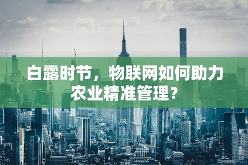 白露时节，物联网如何助力农业精准管理？