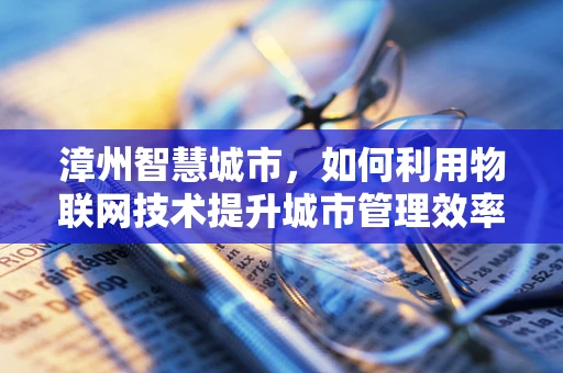 漳州智慧城市，如何利用物联网技术提升城市管理效率？