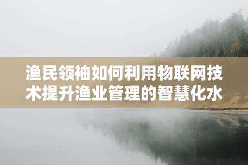 渔民领袖如何利用物联网技术提升渔业管理的智慧化水平？