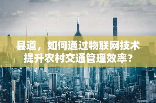 县道，如何通过物联网技术提升农村交通管理效率？