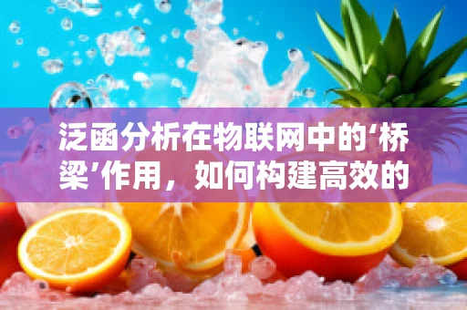 泛函分析在物联网中的‘桥梁’作用，如何构建高效的数据处理模型？