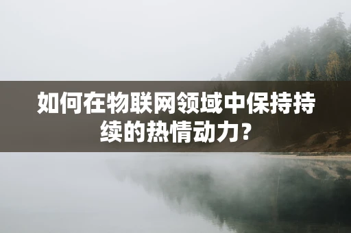 如何在物联网领域中保持持续的热情动力？