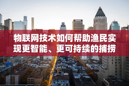 物联网技术如何帮助渔民实现更智能、更可持续的捕捞？