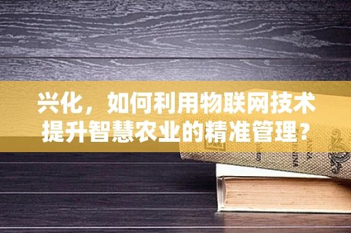 兴化，如何利用物联网技术提升智慧农业的精准管理？