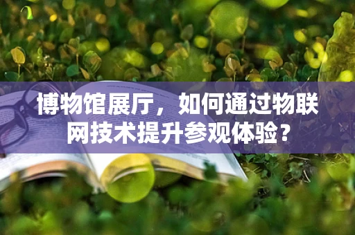 博物馆展厅，如何通过物联网技术提升参观体验？