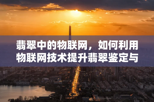 翡翠中的物联网，如何利用物联网技术提升翡翠鉴定与保护？