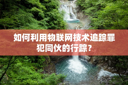 如何利用物联网技术追踪罪犯同伙的行踪？