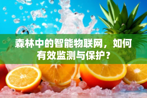 森林中的智能物联网，如何有效监测与保护？