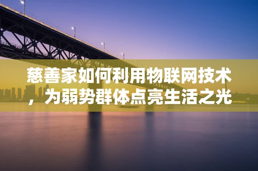 慈善家如何利用物联网技术，为弱势群体点亮生活之光？