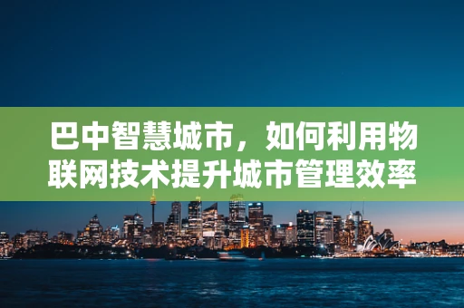 巴中智慧城市，如何利用物联网技术提升城市管理效率？