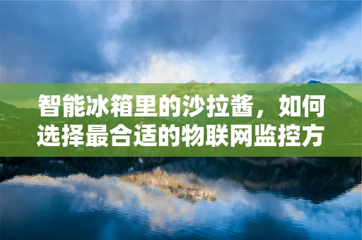 智能冰箱里的沙拉酱，如何选择最合适的物联网监控方案？