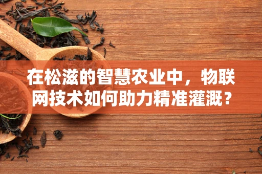 在松滋的智慧农业中，物联网技术如何助力精准灌溉？