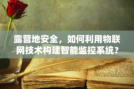 露营地安全，如何利用物联网技术构建智能监控系统？