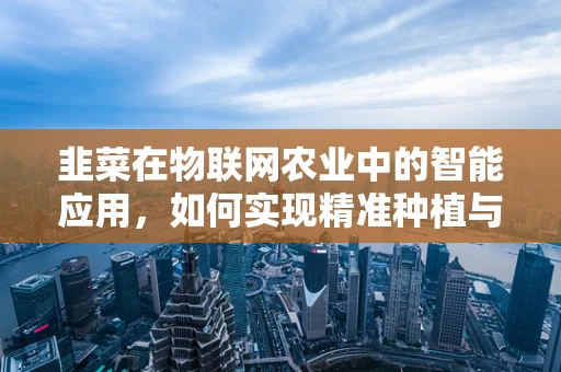 韭菜在物联网农业中的智能应用，如何实现精准种植与监控？