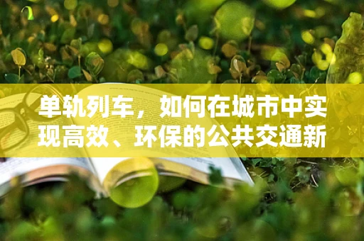 单轨列车，如何在城市中实现高效、环保的公共交通新模式？