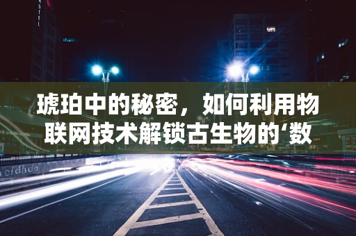 琥珀中的秘密，如何利用物联网技术解锁古生物的‘数字档案’？