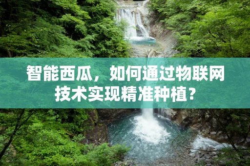 智能西瓜，如何通过物联网技术实现精准种植？