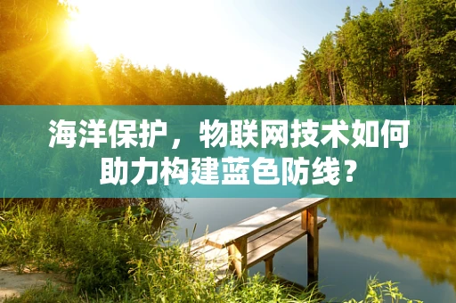 海洋保护，物联网技术如何助力构建蓝色防线？