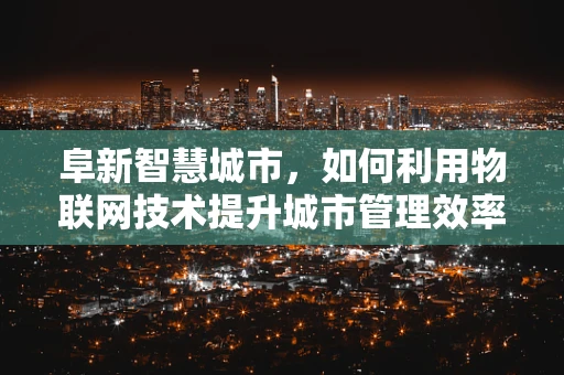 阜新智慧城市，如何利用物联网技术提升城市管理效率？