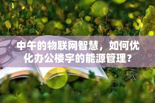 中午的物联网智慧，如何优化办公楼宇的能源管理？