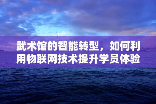 武术馆的智能转型，如何利用物联网技术提升学员体验与安全？