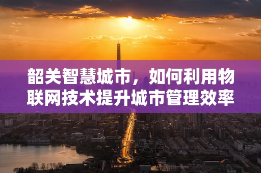 韶关智慧城市，如何利用物联网技术提升城市管理效率？