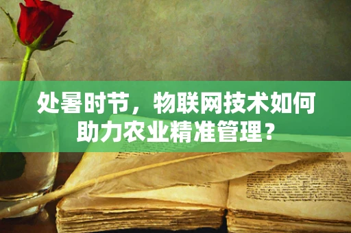 处暑时节，物联网技术如何助力农业精准管理？